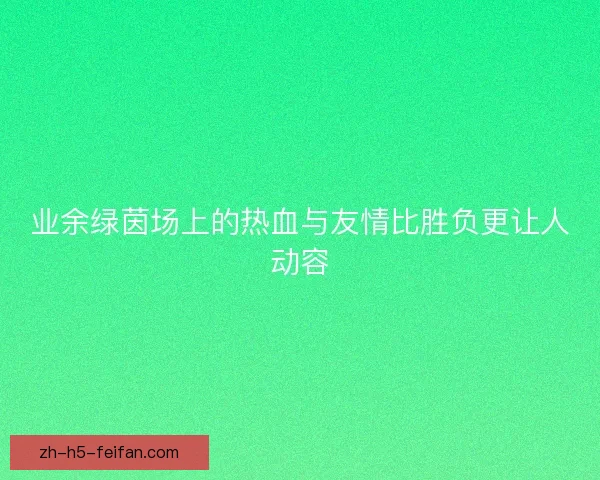 业余绿茵场上的热血与友情比胜负更让人动容 业余绿茵场上的热血与友情比胜负更让人动容